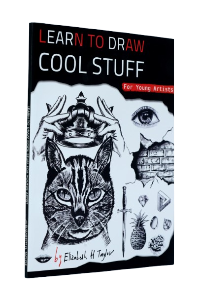  Learn To Draw Cool Stuff For Young Artists: 